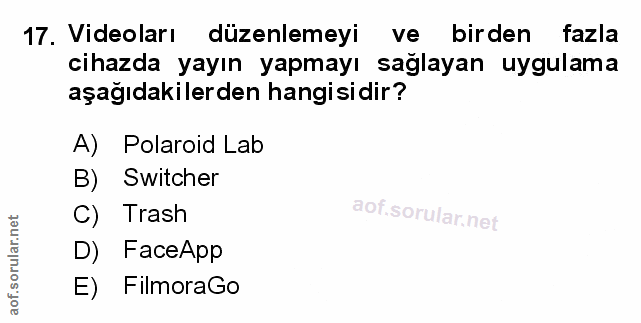 Soru 17