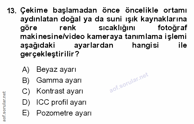 Soru 13