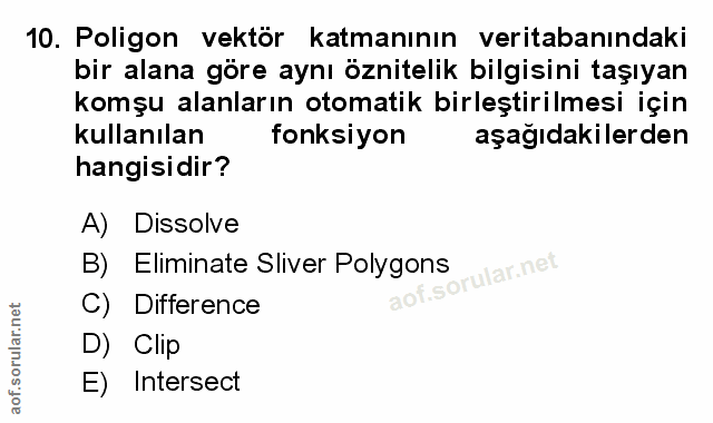 Soru 10