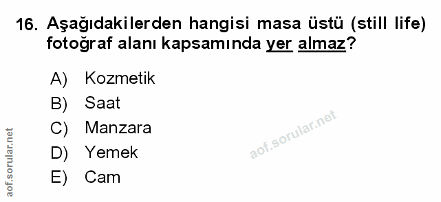 Soru 16