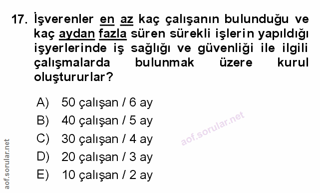 Soru 17