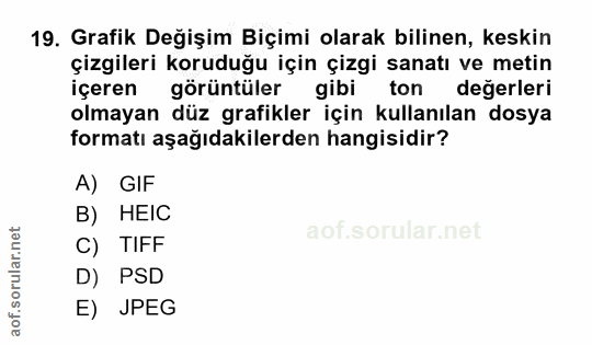 Soru 19