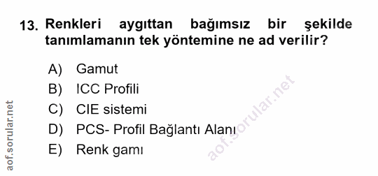 Soru 13
