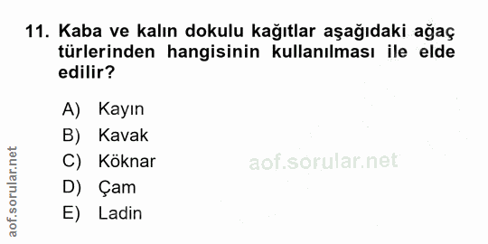 Soru 11