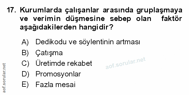 Soru 17