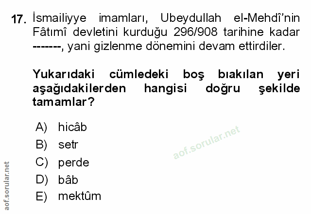 Soru 17