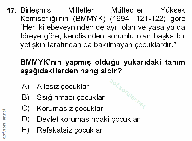 Soru 17
