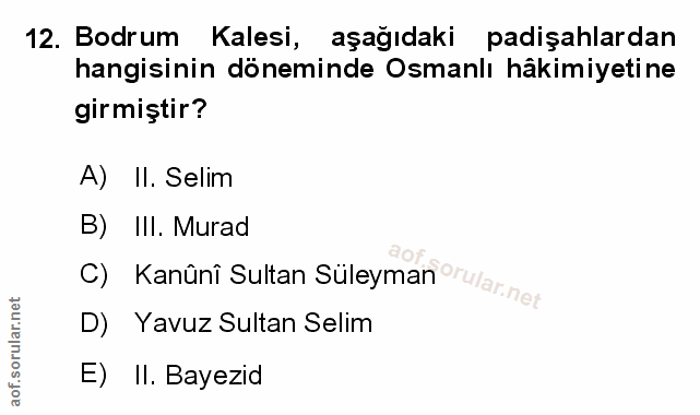Soru 12