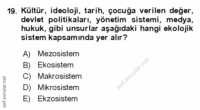 Soru 19