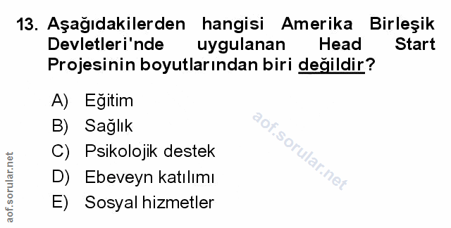 Soru 13