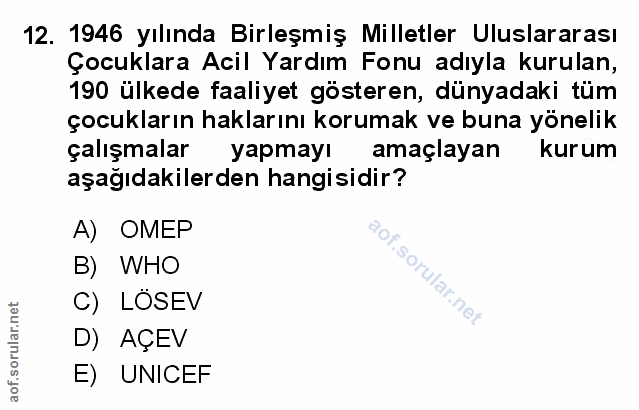 Soru 12