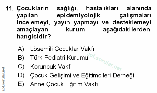 Soru 11