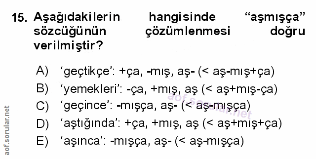 Soru 15