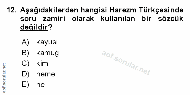 Soru 12