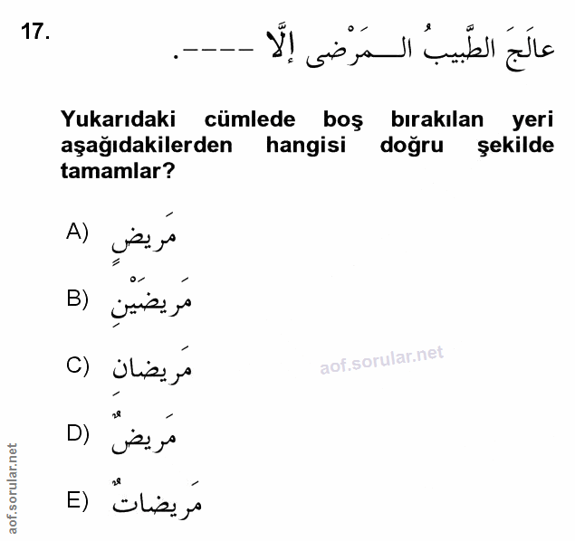 Soru 17