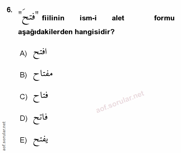 Soru 6