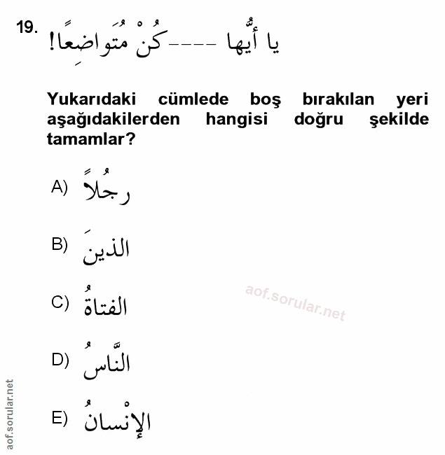 Soru 19