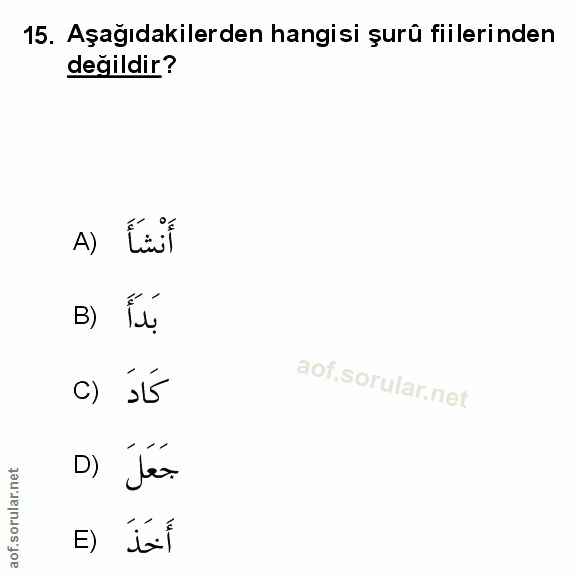 Soru 15