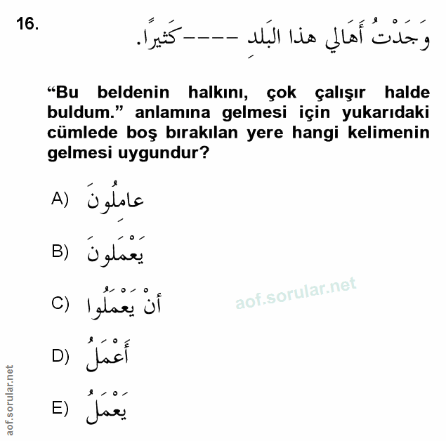 Soru 16