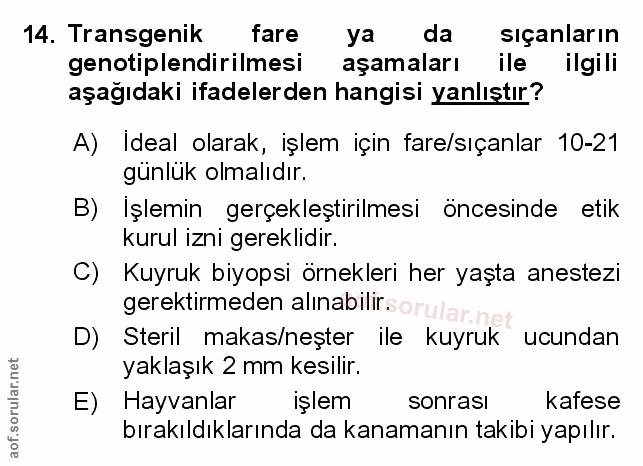 Soru 14