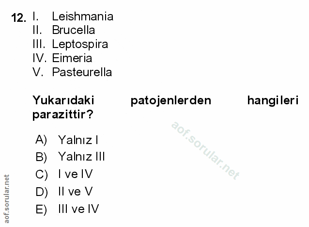 Soru 12