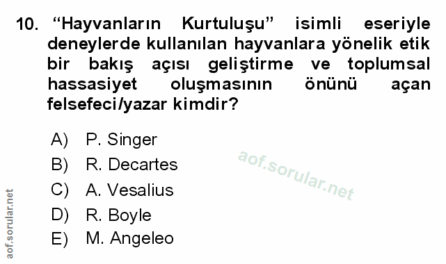 Soru 10