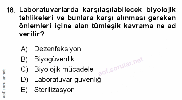 Soru 18