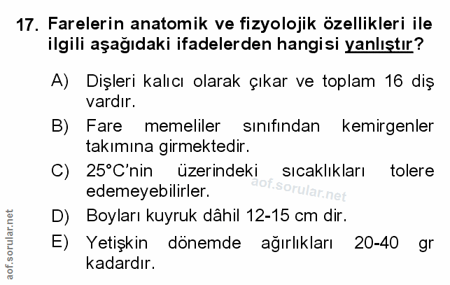 Soru 17