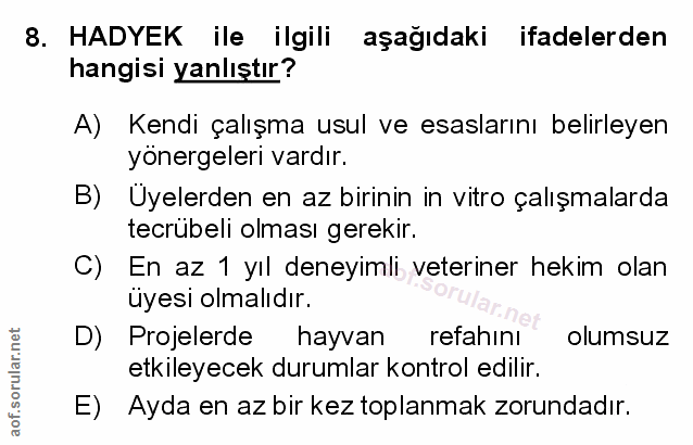Soru 8