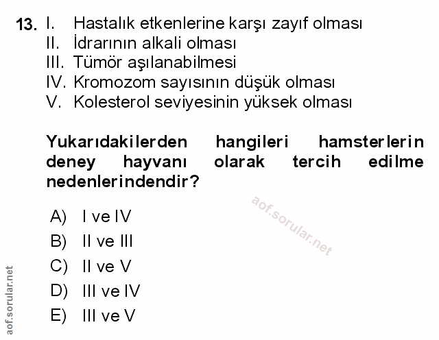 Soru 13