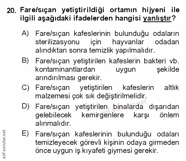 Soru 20