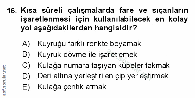 Soru 16