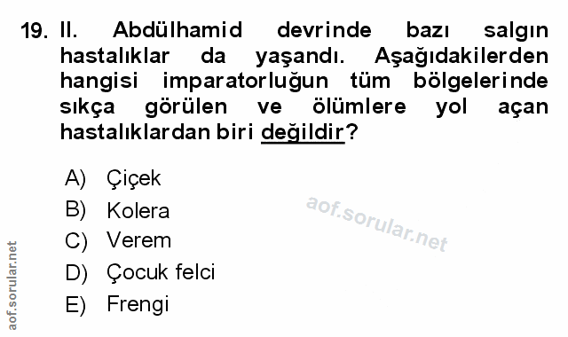 Soru 19