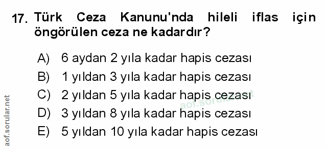 Soru 17