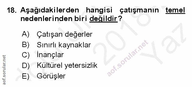 Soru 18