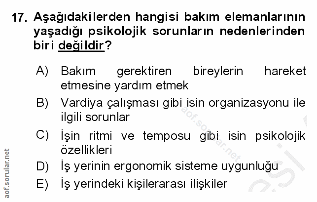 Soru 17