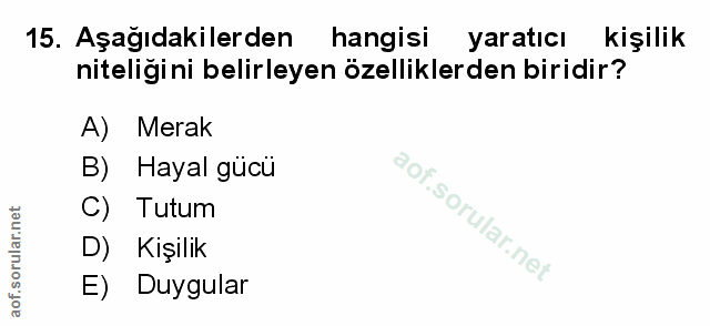 Soru 15