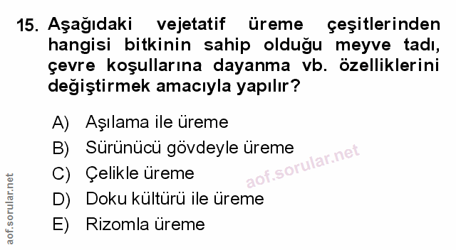 Soru 15