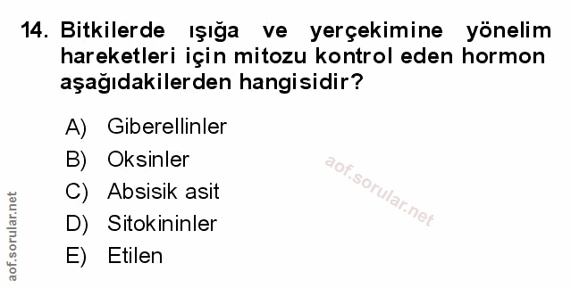 Soru 14