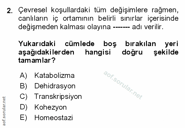 Soru 2