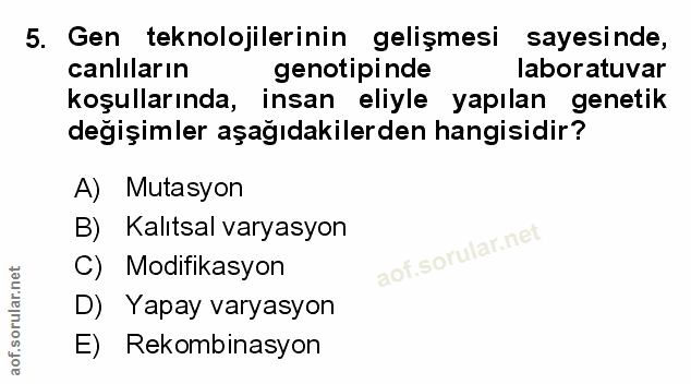 Soru 5
