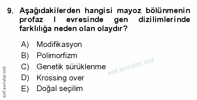 Soru 9