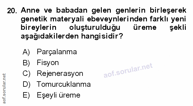 Soru 20