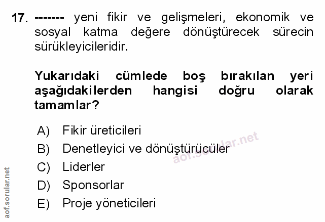 Soru 17