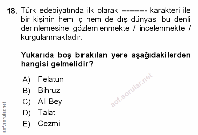 Soru 18