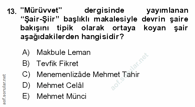 Soru 13