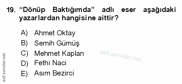 Soru 19