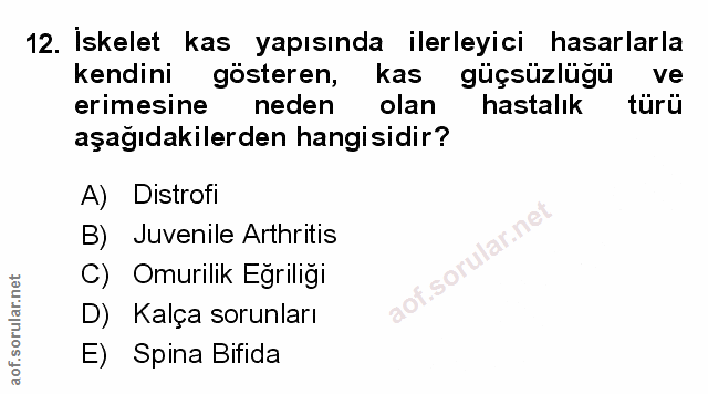 Soru 12