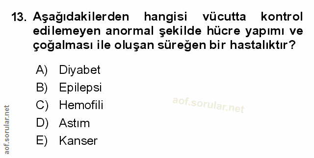 Soru 13