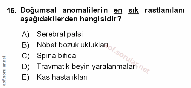 Soru 16